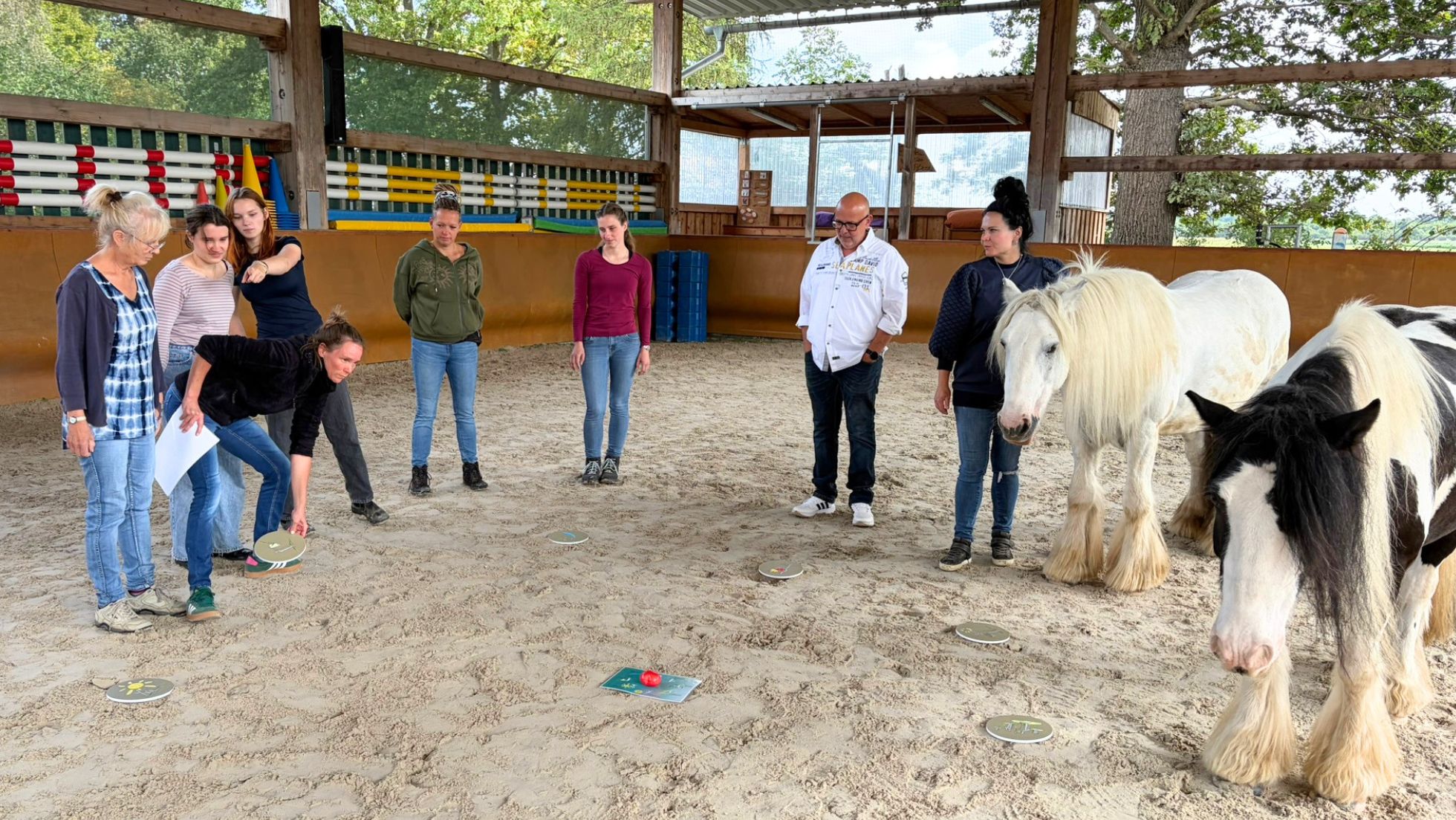 Workshop Auswertung Pferdegestützte Persönlichkeitsentwicklung mit dem RZT Workshop Auswertung Pferdegestützte Persönlichkeitsentwicklung mit dem RZT
